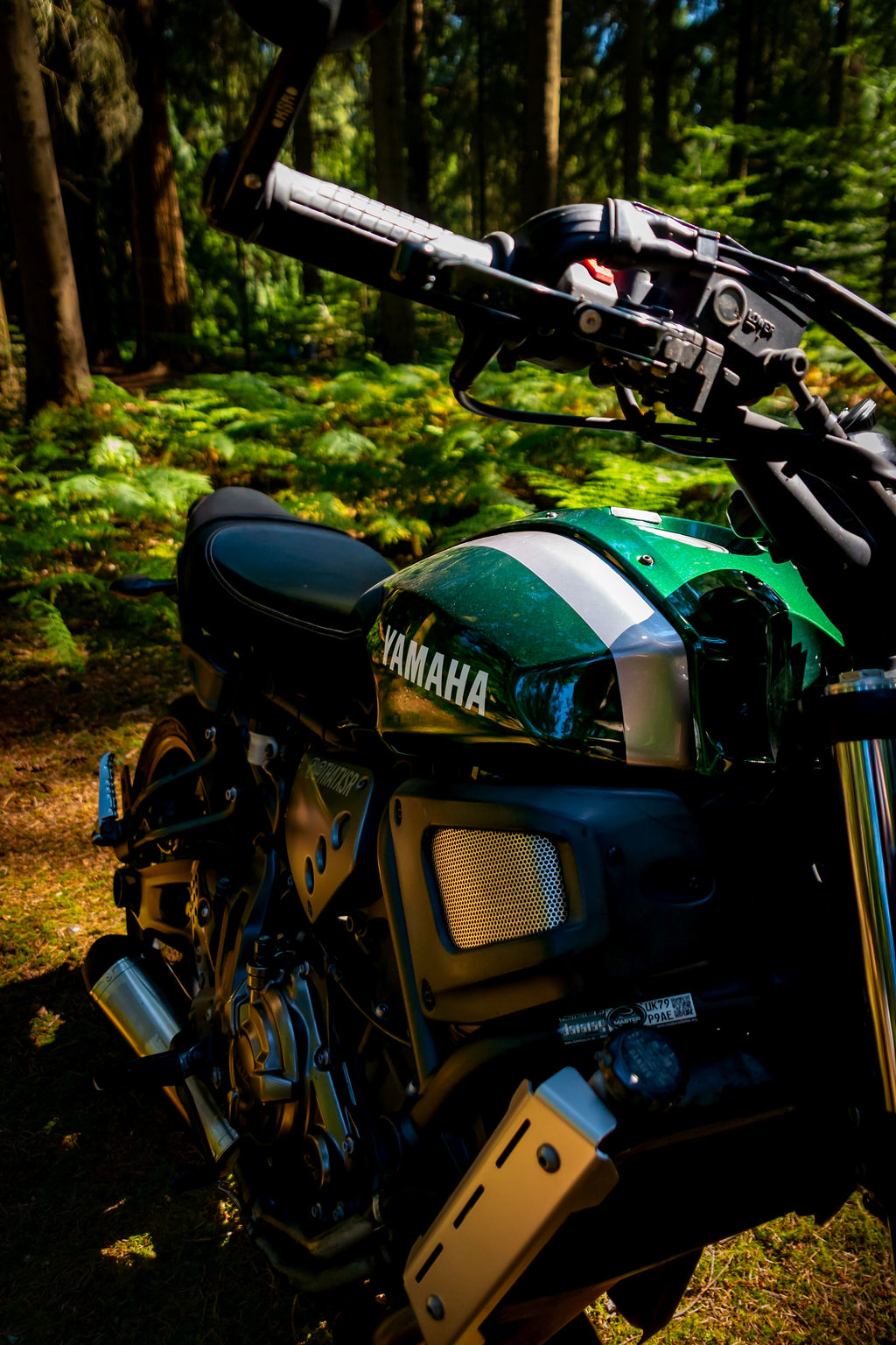_DSC9111.jpg