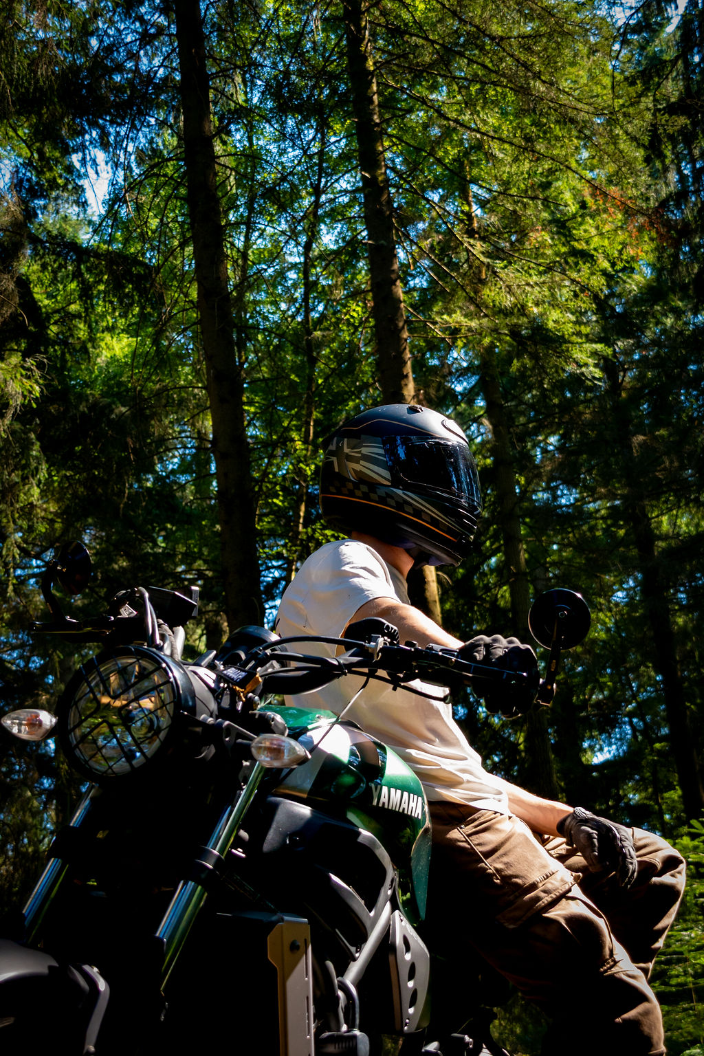_DSC9140.jpg