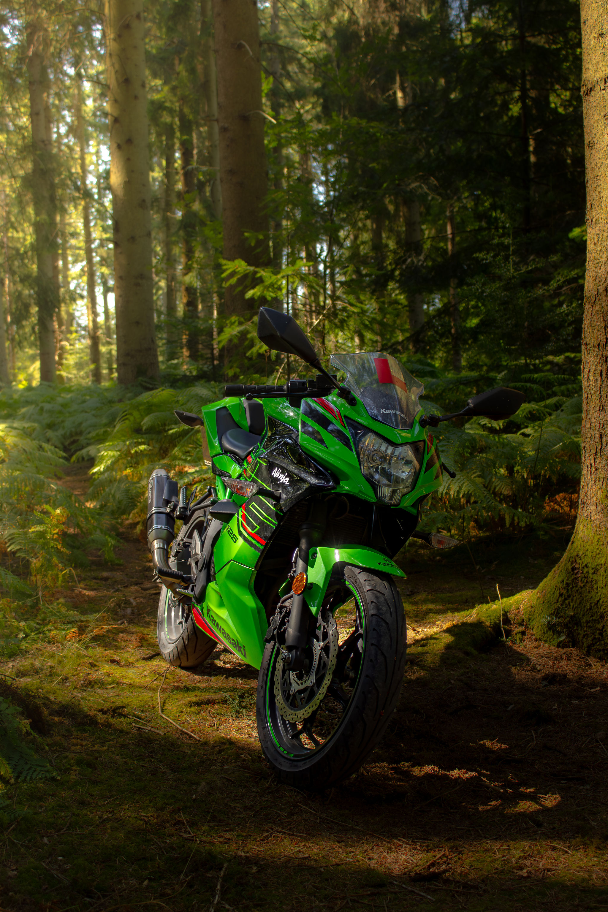 _MG_6257.jpg